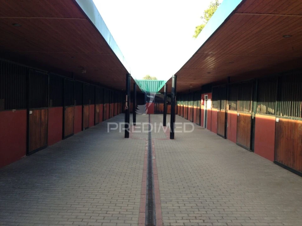 Moradia T4 para Venda em Assunção, Ajuda, Salvador e Santo Ildefonso Foto 18