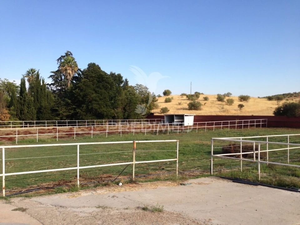 Moradia T4 para Venda em Assunção, Ajuda, Salvador e Santo Ildefonso Foto 15