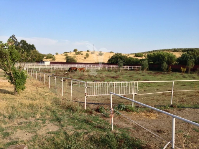 Moradia T4 para Venda em Assunção, Ajuda, Salvador e Santo Ildefonso Foto 20