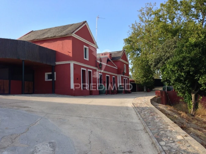 Moradia T4 para Venda em Assunção, Ajuda, Salvador e Santo Ildefonso Foto 16