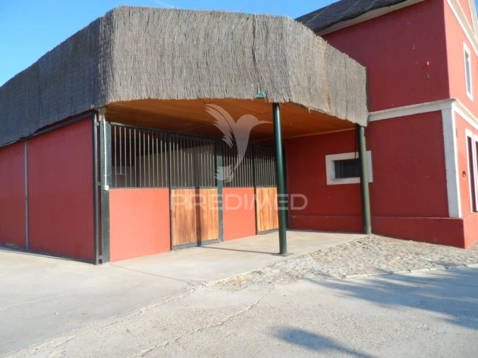 Moradia T4 para Venda em Assunção, Ajuda, Salvador e Santo Ildefonso Foto 2