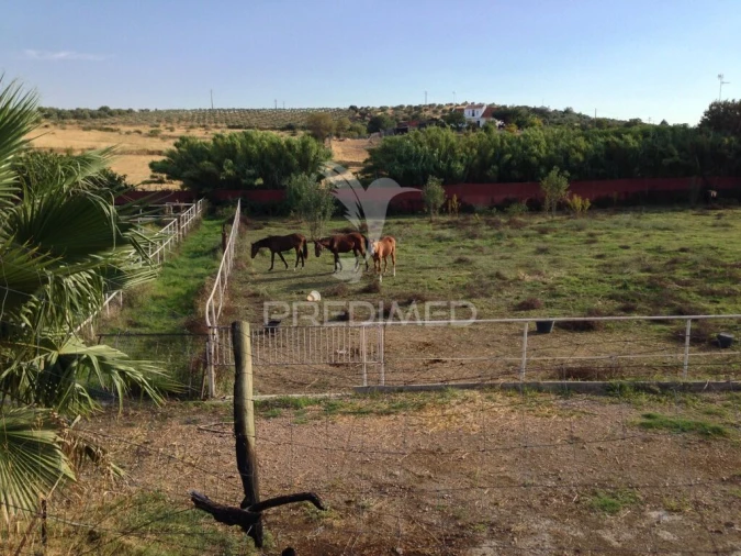 Moradia T4 para Venda em Assunção, Ajuda, Salvador e Santo Ildefonso Foto 19