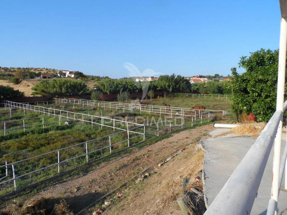 Moradia T4 para Venda em Assunção, Ajuda, Salvador e Santo Ildefonso Foto 7
