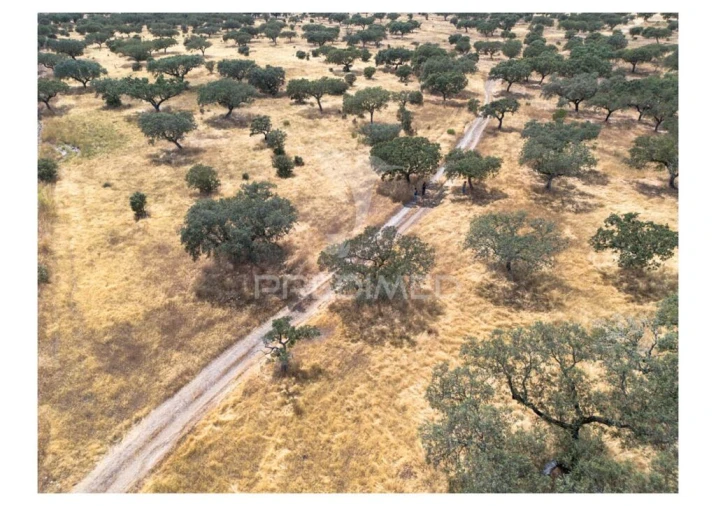 Terreno para Venda em Nossa Senhora da Conceição, São Brás dos Matos, Juromenha Foto 14