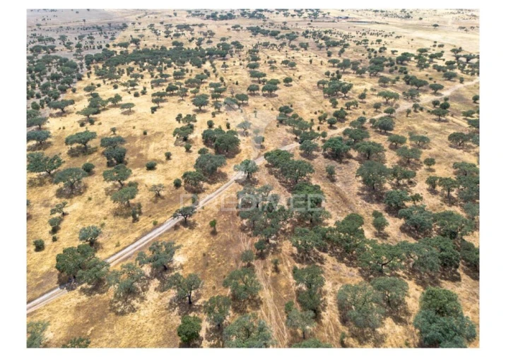 Terreno para Venda em Nossa Senhora da Conceição, São Brás dos Matos, Juromenha Foto 20