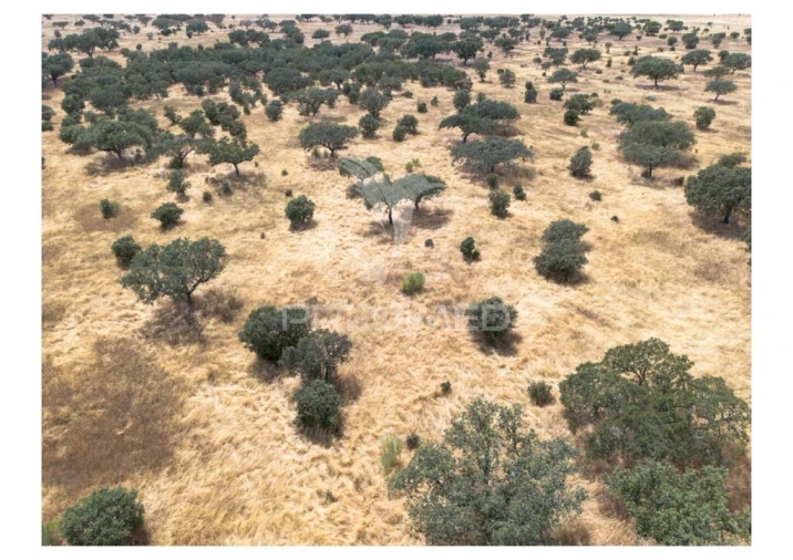 Terreno para Venda em Nossa Senhora da Conceição, São Brás dos Matos, Juromenha Foto 8