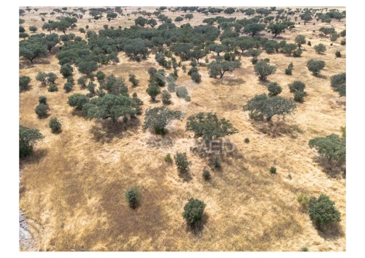 Terreno para Venda em Nossa Senhora da Conceição, São Brás dos Matos, Juromenha Foto 6