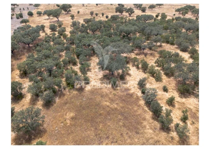Terreno para Venda em Nossa Senhora da Conceição, São Brás dos Matos, Juromenha Foto 4