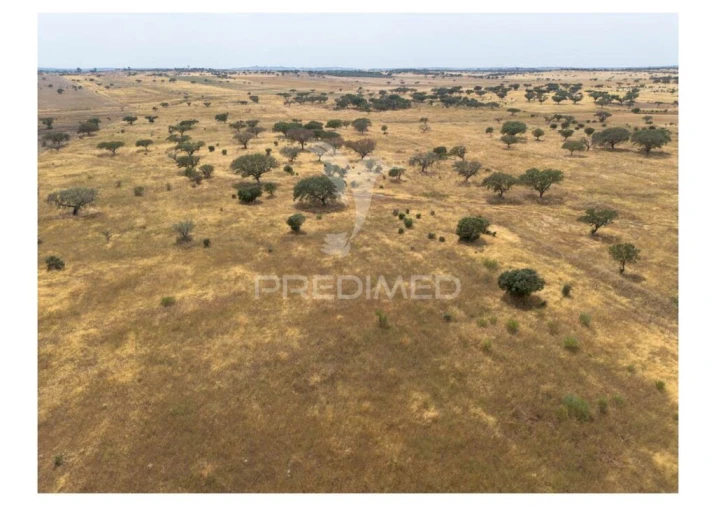 Terreno para Venda em Nossa Senhora da Conceição, São Brás dos Matos, Juromenha Foto 1