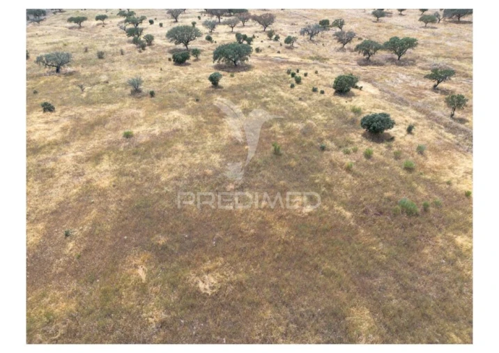 Terreno para Venda em Nossa Senhora da Conceição, São Brás dos Matos, Juromenha Foto 3