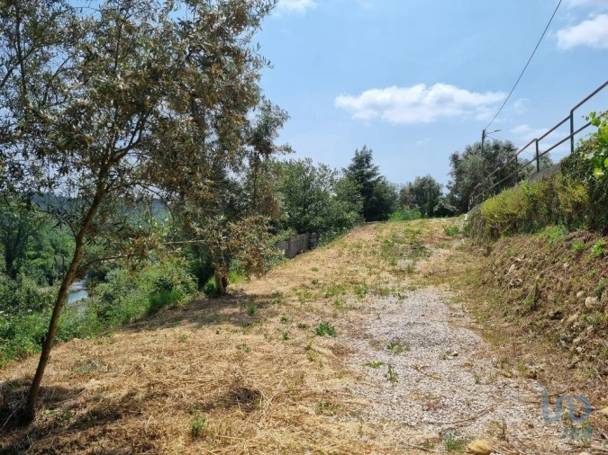 Terreno para Venda em Sarzedo Foto 11