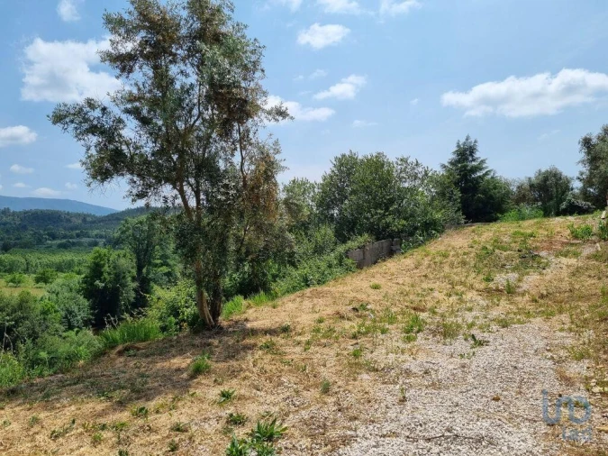 Terreno para Venda em Sarzedo Foto 12