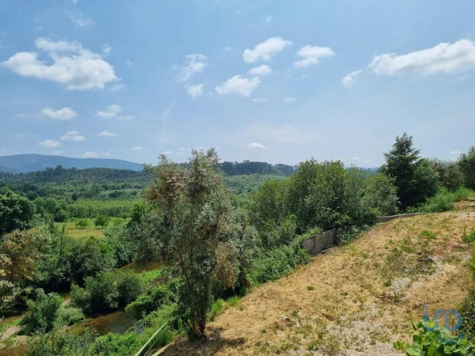 Terreno para Venda em Sarzedo Foto 13