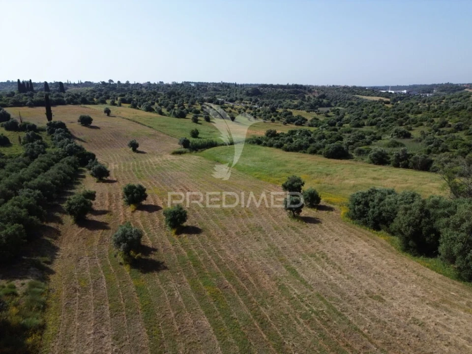 Terreno para Venda em Brogueira, Parceiros de Igreja e Alcorochel Foto 17