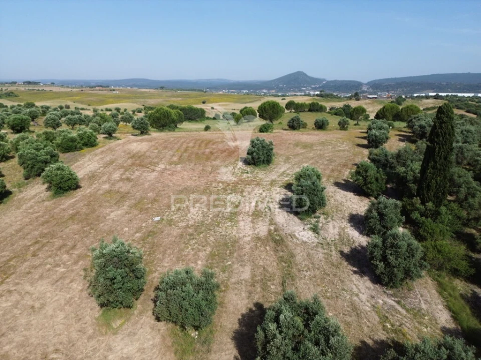 Terreno para Venda em Brogueira, Parceiros de Igreja e Alcorochel Foto 16