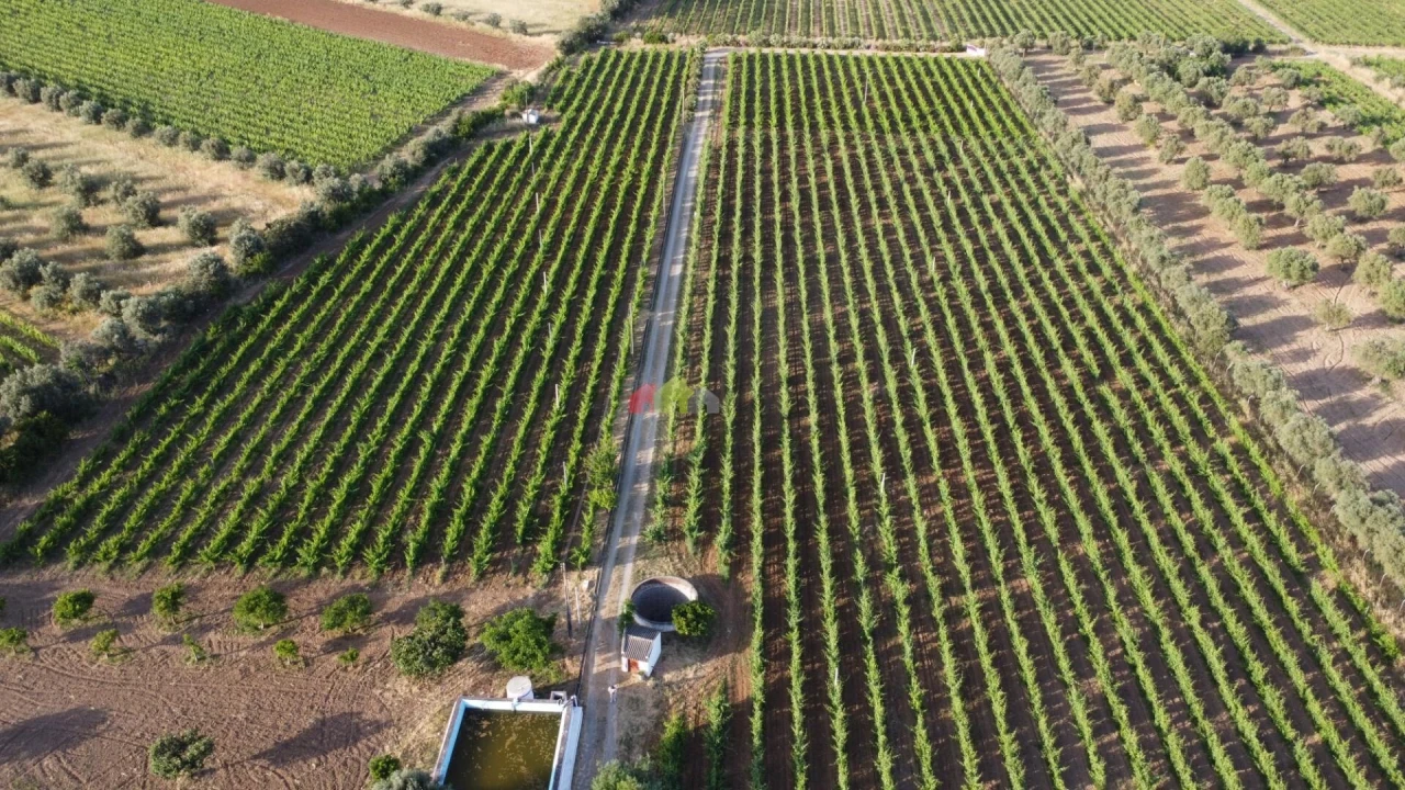 Quinta T5 para Venda em Reguengos de Monsaraz Foto 7