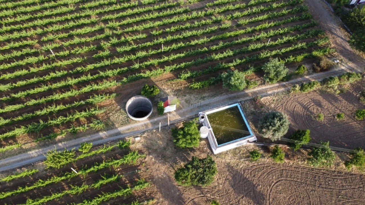 Quinta T5 para Venda em Reguengos de Monsaraz Foto 17