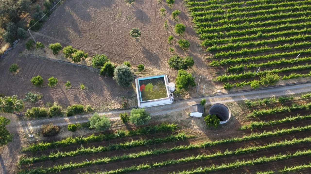 Quinta T5 para Venda em Reguengos de Monsaraz Foto 21