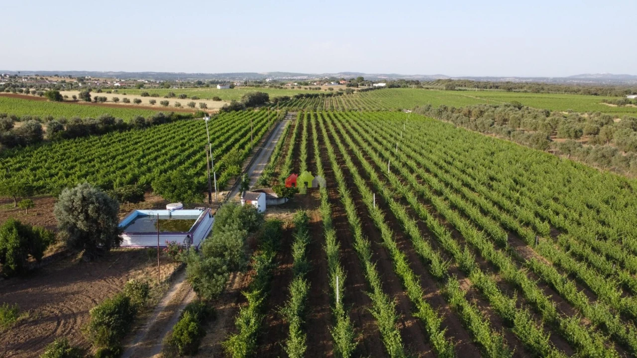 Quinta T5 para Venda em Reguengos de Monsaraz Foto 5