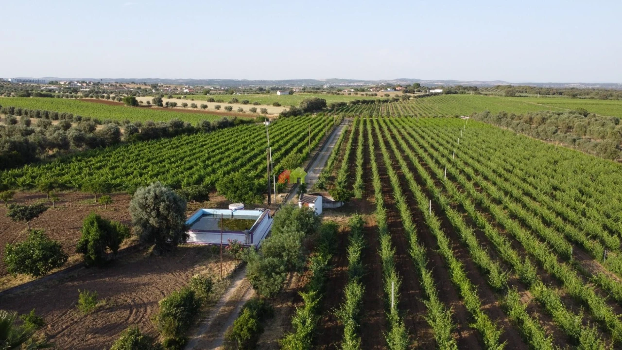 Quinta T5 para Venda em Reguengos de Monsaraz Foto 4