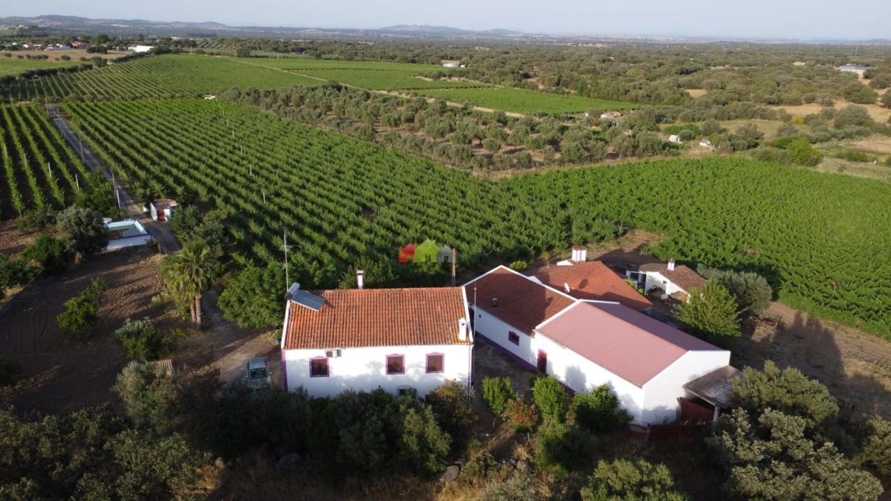 Quinta T5 para Venda em Reguengos de Monsaraz Foto 1