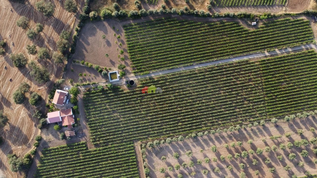 Quinta T5 para Venda em Reguengos de Monsaraz Foto 9