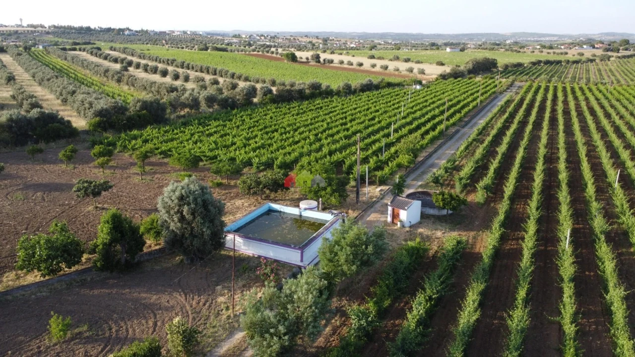 Quinta T5 para Venda em Reguengos de Monsaraz Foto 15