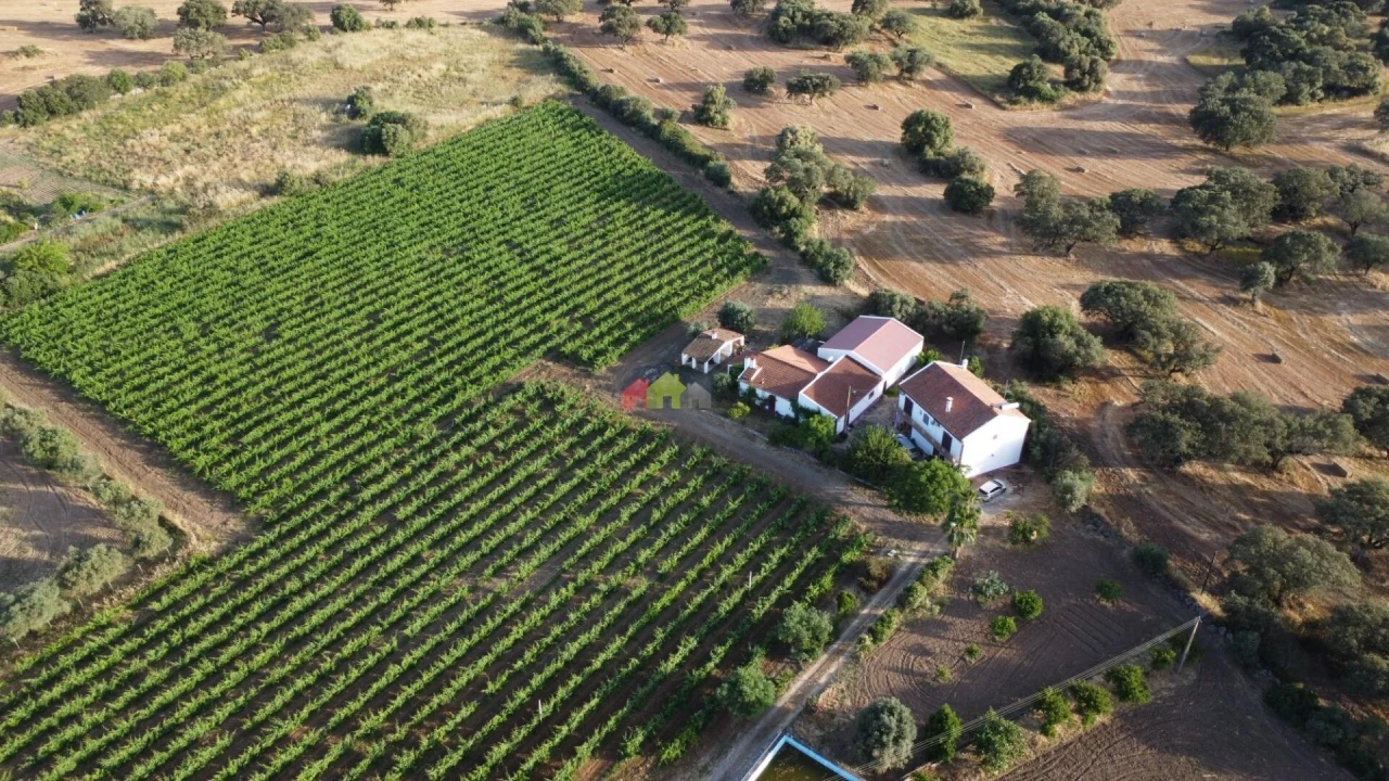 Quinta T5 para Venda em Reguengos de Monsaraz Foto 16