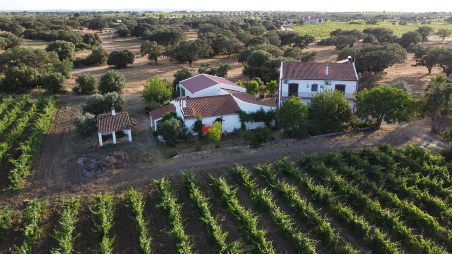 Quinta T5 para Venda em Reguengos de Monsaraz Foto 24