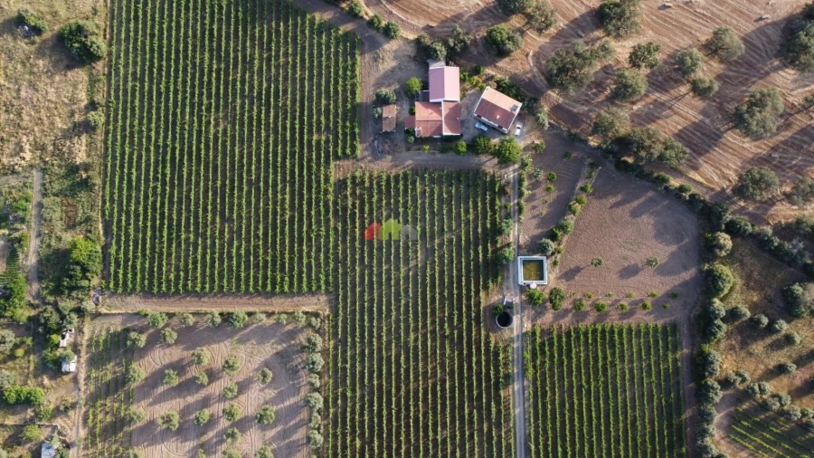Quinta T5 para Venda em Reguengos de Monsaraz Foto 12