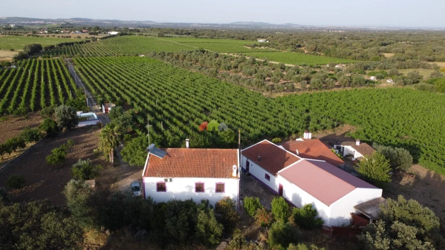 Quinta T5 para Venda em Reguengos de Monsaraz Foto 22