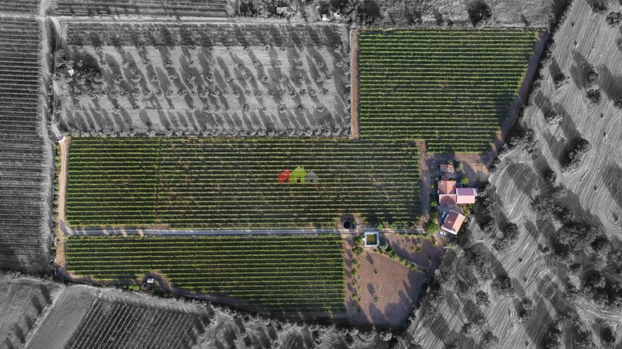 Quinta T5 para Venda em Reguengos de Monsaraz Foto 2