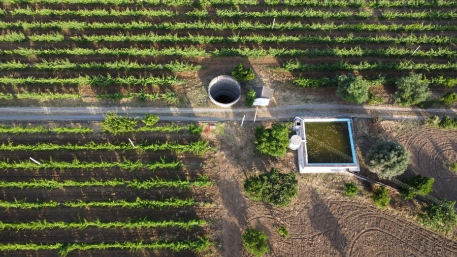 Quinta T5 para Venda em Reguengos de Monsaraz Foto 18