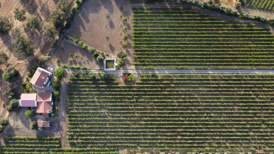 Quinta T5 para Venda em Reguengos de Monsaraz Foto 8