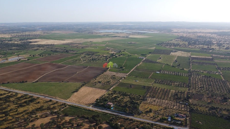 Quinta T5 para Venda em Reguengos de Monsaraz Foto 13