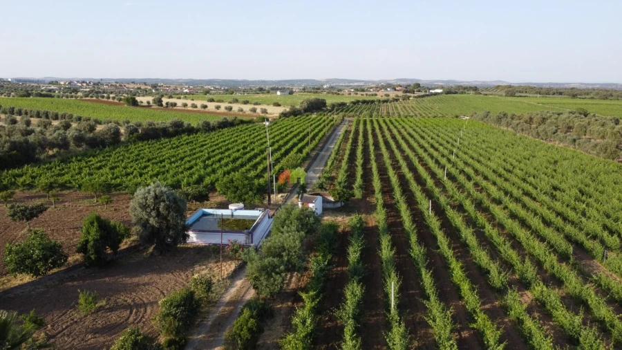 Quinta T5 para Venda em Reguengos de Monsaraz Foto 4