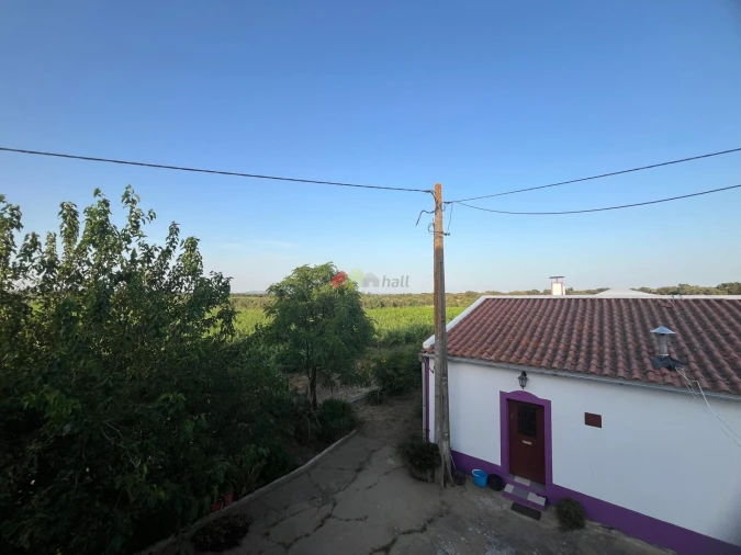 Quinta T5 para Venda em Reguengos de Monsaraz Foto 55