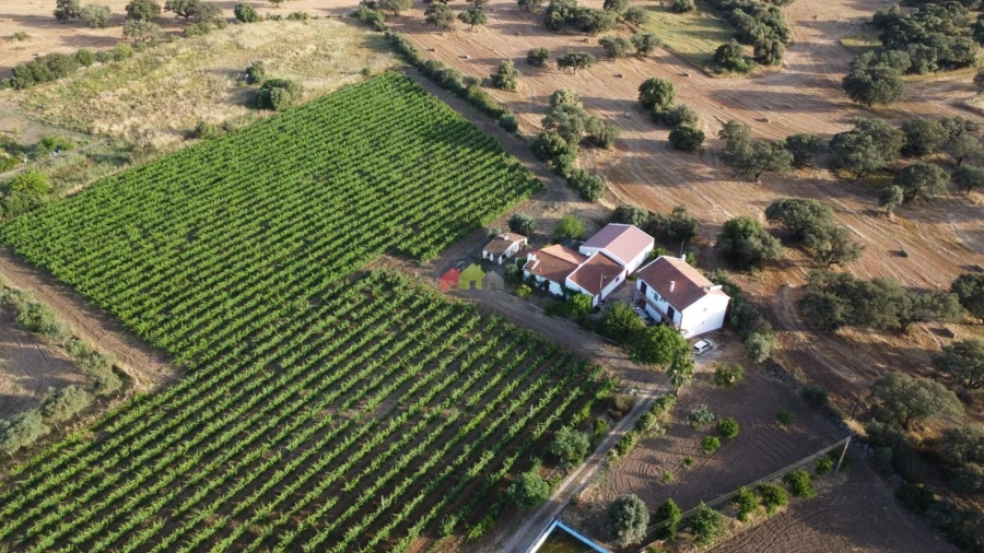 Quinta T5 para Venda em Reguengos de Monsaraz Foto 16