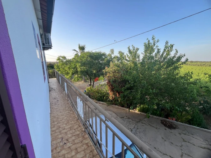 Quinta T5 para Venda em Reguengos de Monsaraz Foto 43