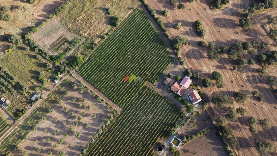 Quinta T5 para Venda em Reguengos de Monsaraz Foto 10