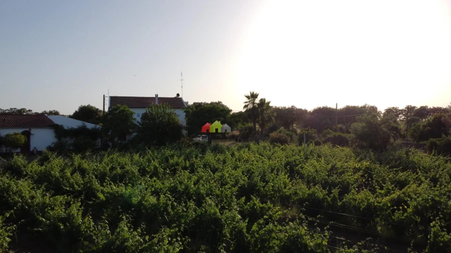 Quinta T5 para Venda em Reguengos de Monsaraz Foto 20