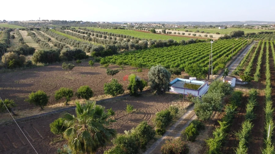 Quinta T5 para Venda em Reguengos de Monsaraz Foto 6