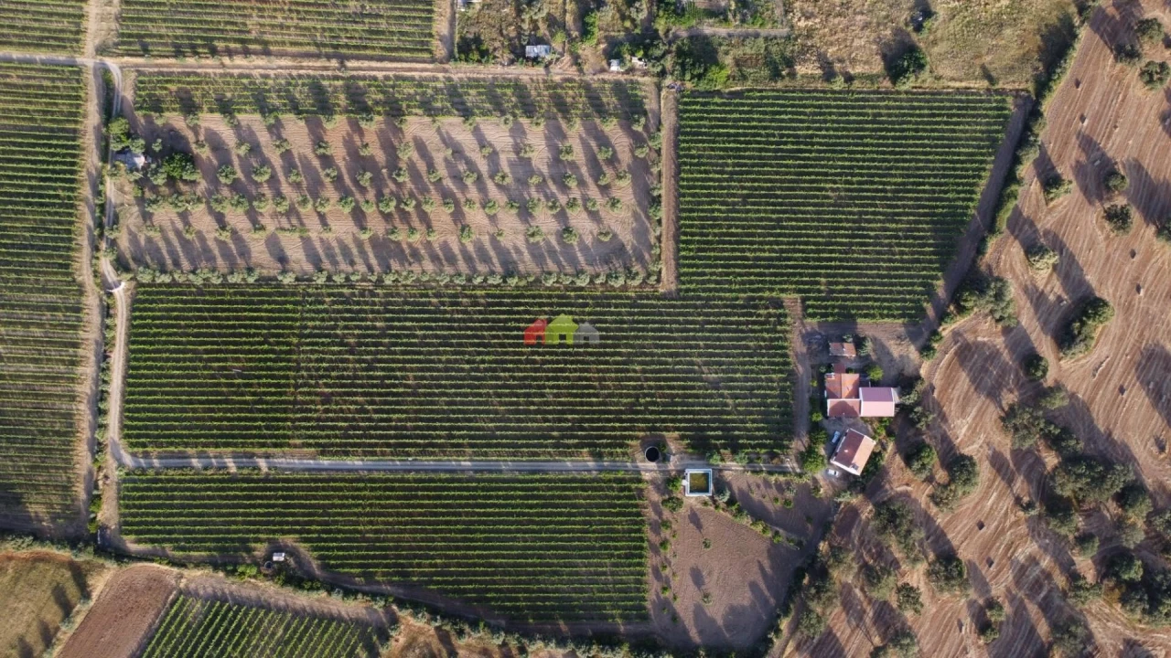 Quinta T5 para Venda em Reguengos de Monsaraz Foto 11