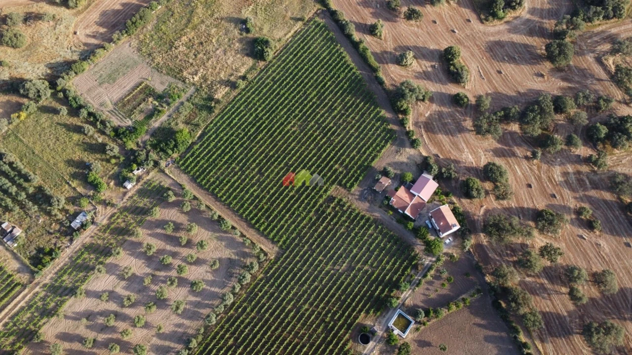 Quinta T5 para Venda em Reguengos de Monsaraz Foto 10