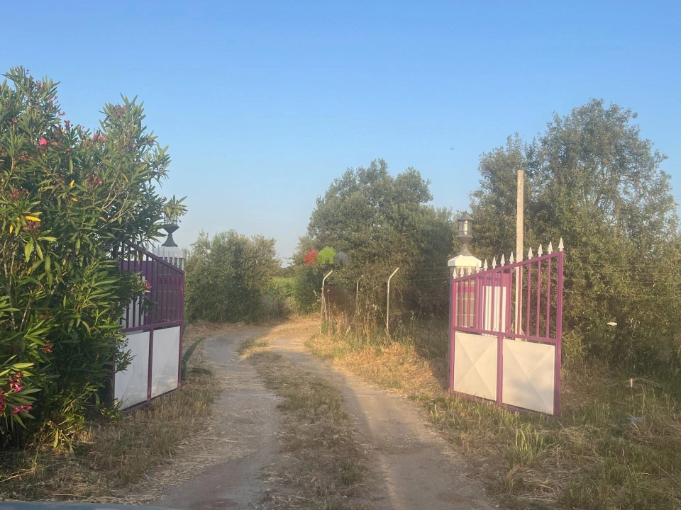 Quinta T5 para Venda em Reguengos de Monsaraz Foto 3