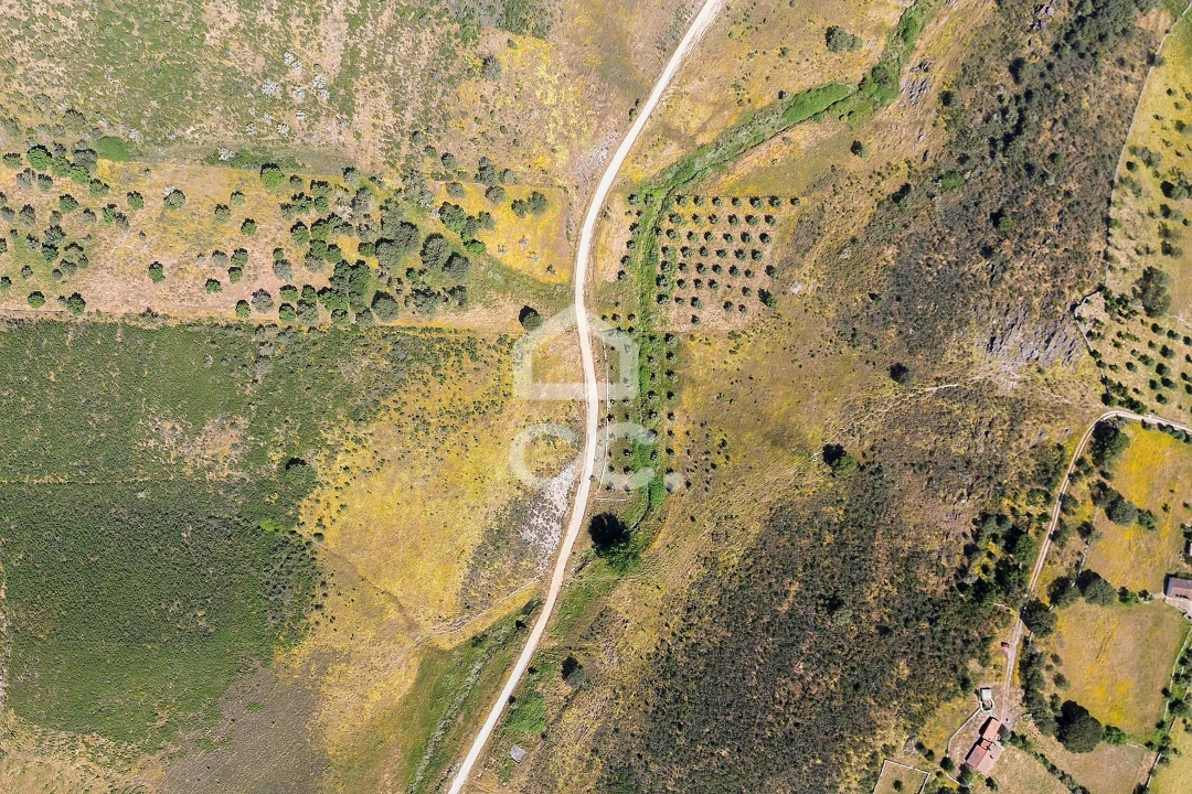 Terreno para Venda em Terena (São Pedro) Foto 38