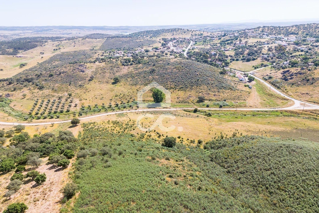 Terreno para Venda em Terena (São Pedro) Foto 4