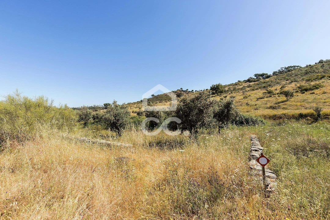 Terreno para Venda em Terena (São Pedro) Foto 8