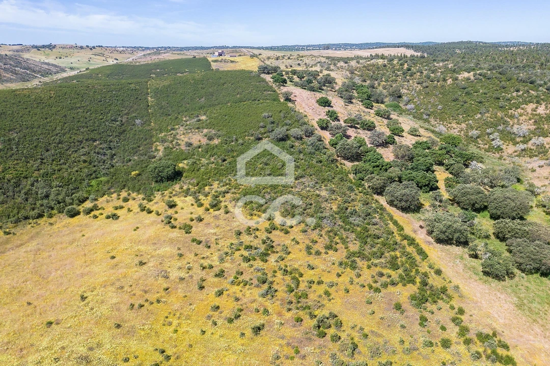 Terreno para Venda em Terena (São Pedro) Foto 35