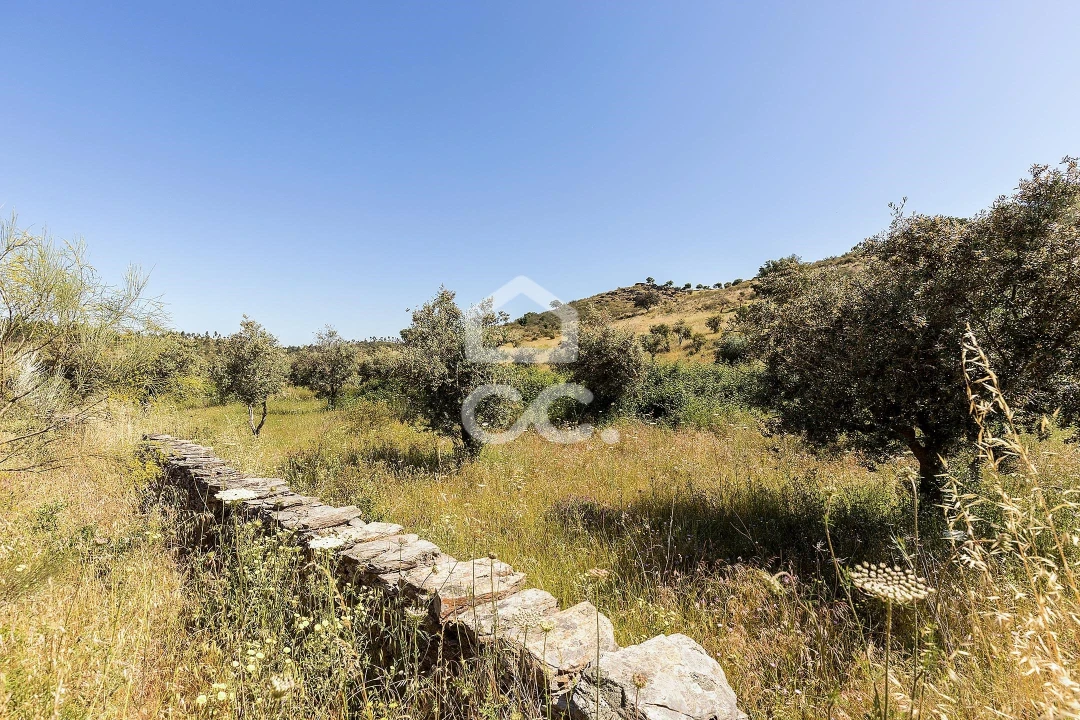 Terreno para Venda em Terena (São Pedro) Foto 9